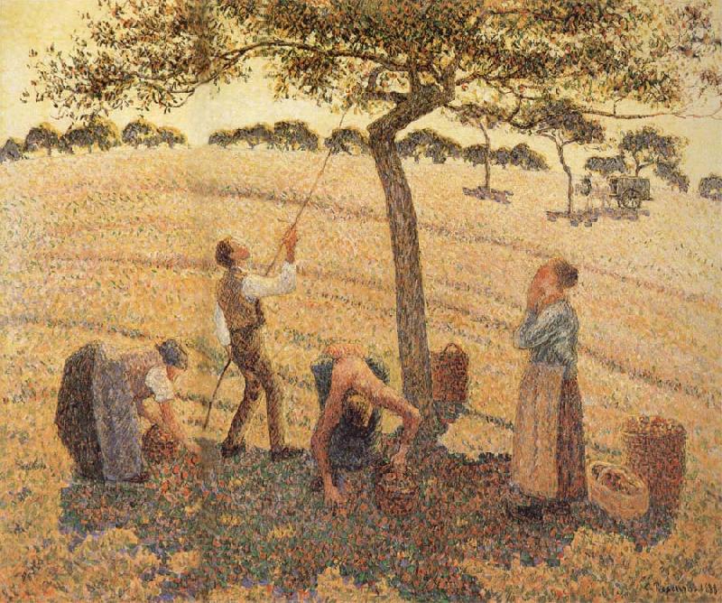 Camille Pissarro Pick Apple Germany oil painting art